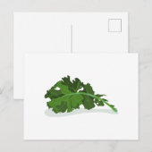 Kale Leaf Briefkaart (Voorkant / Achterkant)