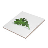 Kale Leaf Tegeltje (Zijkant)