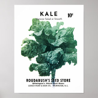 Kale Seed Packet Label Poster