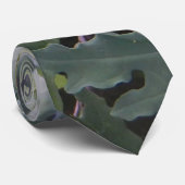 Kale Stropdas (Opgerold)