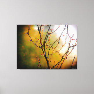 Kale takken in nevel canvas afdruk