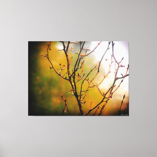 Kale takken in nevel canvas afdruk (Voorkant)