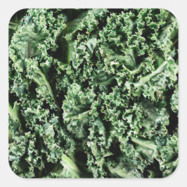 Kale Vierkante Sticker