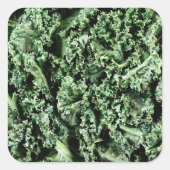Kale Vierkante Sticker (Voorkant)