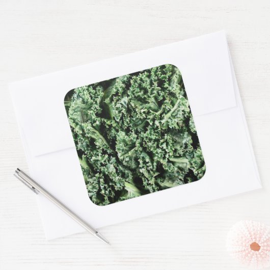 Kale Vierkante Sticker (Envelop)