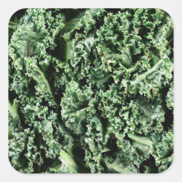 Kale Vierkante Sticker
