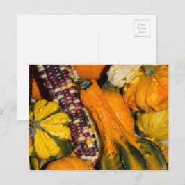 Kalebas en Maan Mais Herfst Eten Fotografie Briefkaart