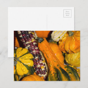 Kalebas en Maan Mais Herfst Eten Fotografie Briefkaart