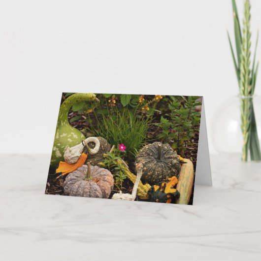 Kalebas en pompoen Digitale Kunstkaart Kaart (Voorkant)