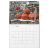 kalebassen en pompoenen fotografie kalender (Mar 2027)