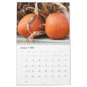 kalebassen en pompoenen fotografie kalender (Jan 2027)