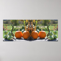 Kalebassen en pompoenen Herfst Spiegel Abstract