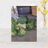 Kalebassen Kaart (Gele Bloem)