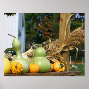 Kalebassen Maïsstengels Boerderij Stand Autumn Poster