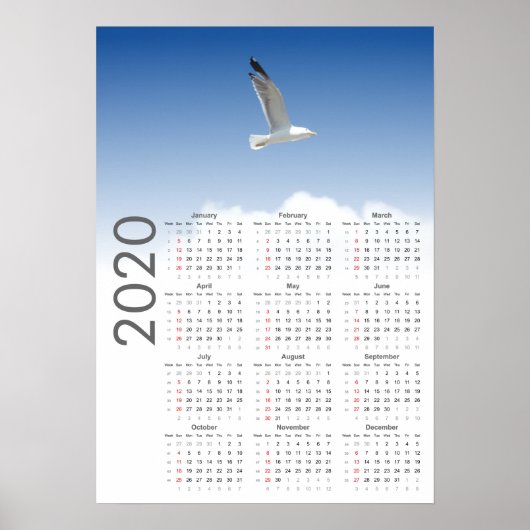 Kaleenderposter 2020 van Meeuw Poster (Voorkant)
