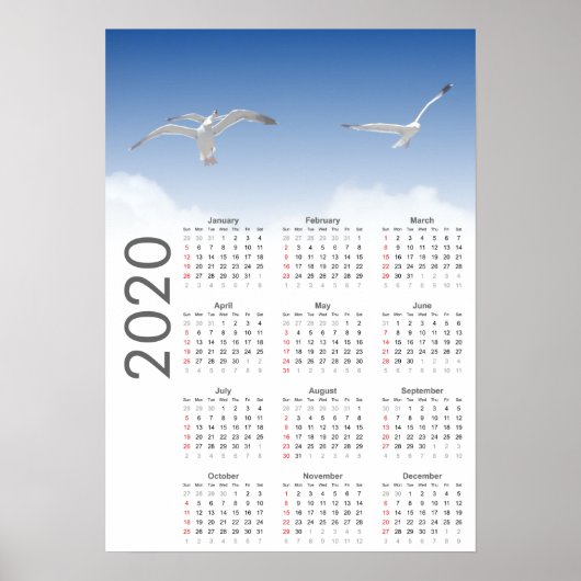 Kaleenderposter Zeemeeuw 2020 Poster (Voorkant)