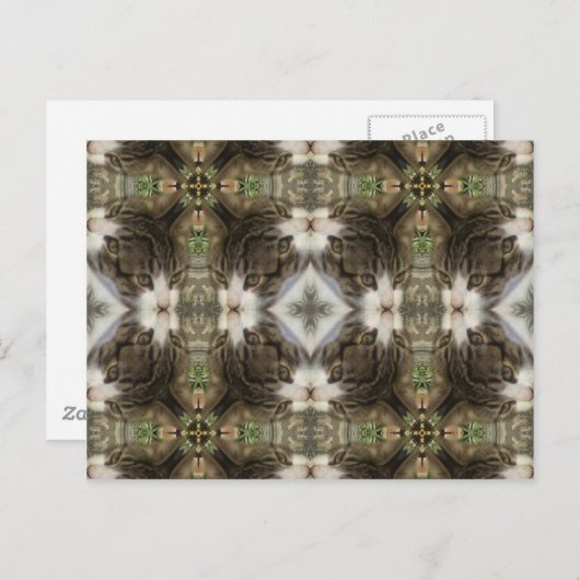 Kaleidoscoop Kat Briefkaart (Voorkant / Achterkant)