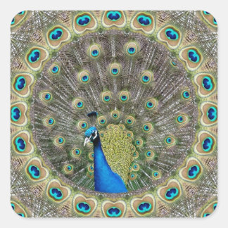 Kaleidoscoop Peacock Vierkante Sticker
