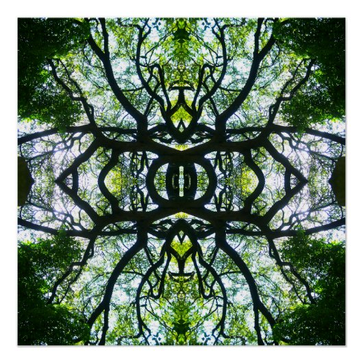 Kaleidoscoop Perfect Poster (Voorkant)