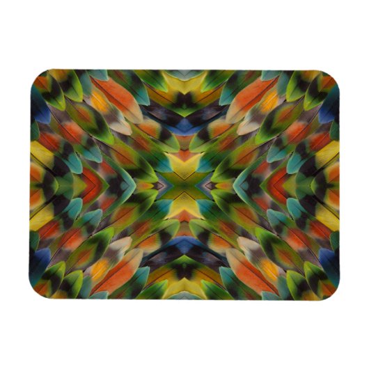 Kaleidoscoop van agapadusharen magneet (Horizontaal)