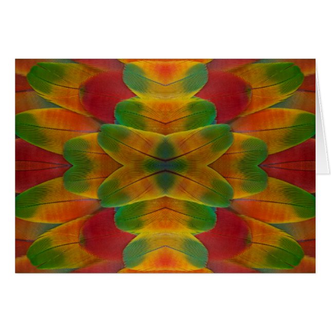 Kaleidoscoop van ara papegaai veren (Voorkant Horizontaal)
