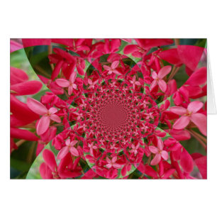 Kaleidoscoop van Crimson: Bloed Milkweed Flower Ar