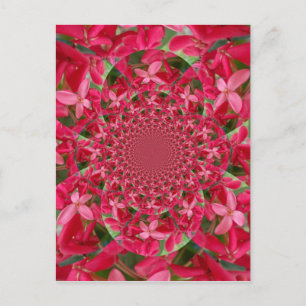 Kaleidoscoop van Crimson: Bloed Milkweed Flower Ar Briefkaart
