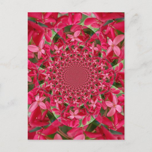 Kaleidoscoop van Crimson: Bloed Milkweed Flower Ar Briefkaart (Voorkant)