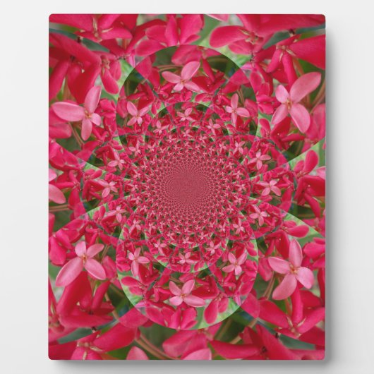 Kaleidoscoop van Crimson: Bloed Milkweed Flower Ar Fotoplaat (Voorkant)