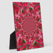 Kaleidoscoop van Crimson: Bloed Milkweed Flower Ar Fotoplaat (Zijkant)