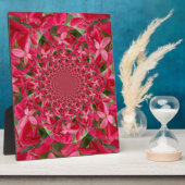 Kaleidoscoop van Crimson: Bloed Milkweed Flower Ar Fotoplaat (Zijkant)