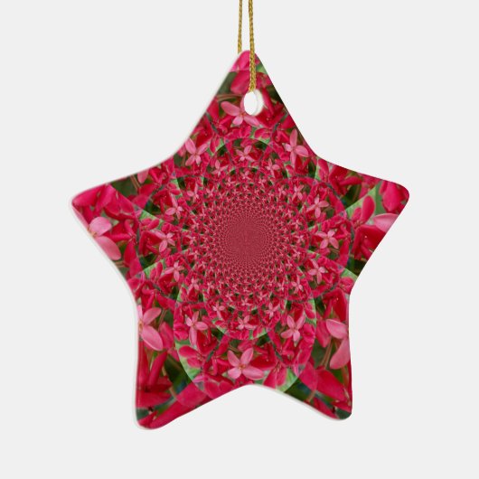 Kaleidoscoop van Crimson: Bloed Milkweed Flower Ar Keramisch Ornament (Rechts)