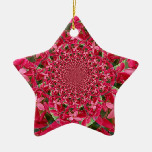 Kaleidoscoop van Crimson: Bloed Milkweed Flower Ar Keramisch Ornament (Voorkant)