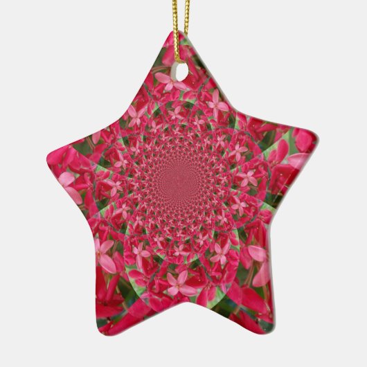 Kaleidoscoop van Crimson: Bloed Milkweed Flower Ar Keramisch Ornament (Links)