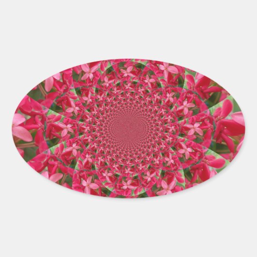 Kaleidoscoop van Crimson: Bloed Milkweed Flower Ar Ovale Sticker (Voorkant)