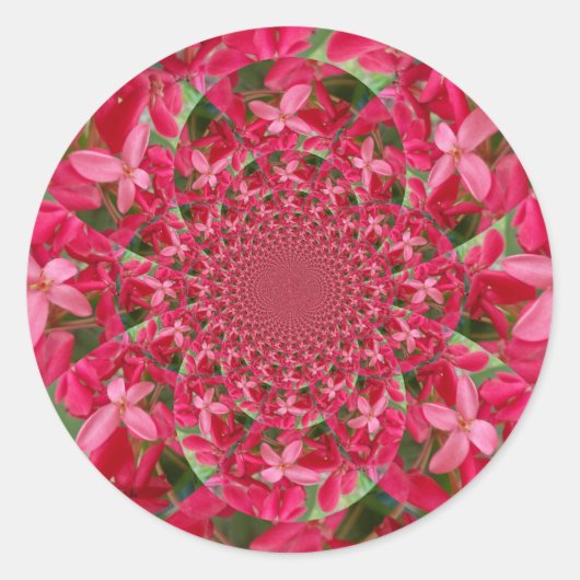 Kaleidoscoop van Crimson: Bloed Milkweed Flower Ar Ronde Sticker (Voorkant)