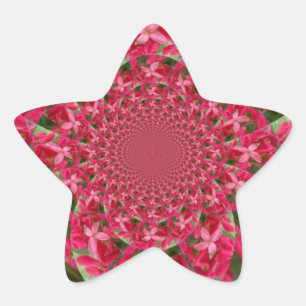 Kaleidoscoop van Crimson: Bloed Milkweed Flower Ar Ster Sticker