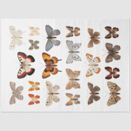 Kaleidoscoop van motten 1 Decoupage papier
