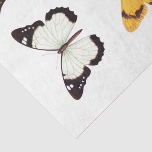 Kaleidoscoop van Vlinders 1 Decoupage Papier (Detail)