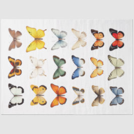 Kaleidoscoop van Vlinders 1 Decoupage Papier