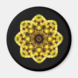 kaleidoscope abstracte shape star eye iris science magneet