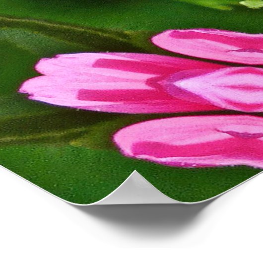 Kaleidoscope Aster Poster (Hoek)