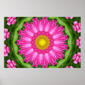 Kaleidoscope Aster Poster (Voorkant)