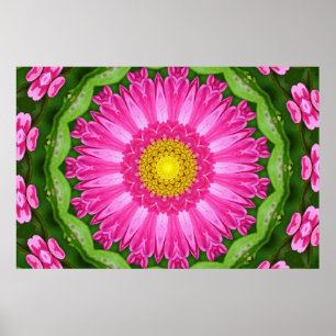 Kaleidoscope Aster Poster