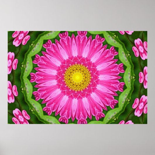 Kaleidoscope Aster Poster (Voorkant)