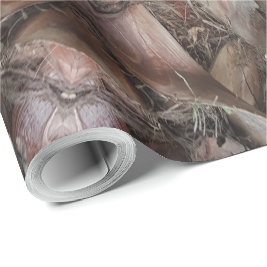 Kaleidoscope Design Star van de boomstam van de pa Cadeaupapier (Rol Hoek)