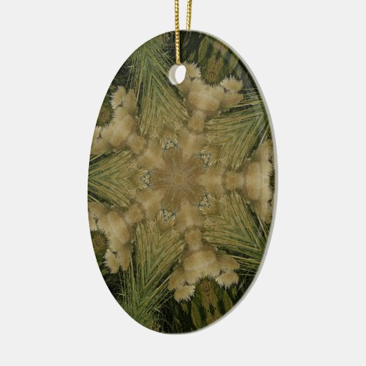 Kaleidoscope Design Star van Pampas Grass Green Keramisch Ornament (Links)