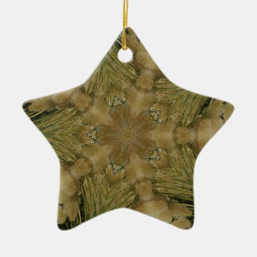 Kaleidoscope Design Star van Pampas Grass Green Keramisch Ornament (Voorkant)