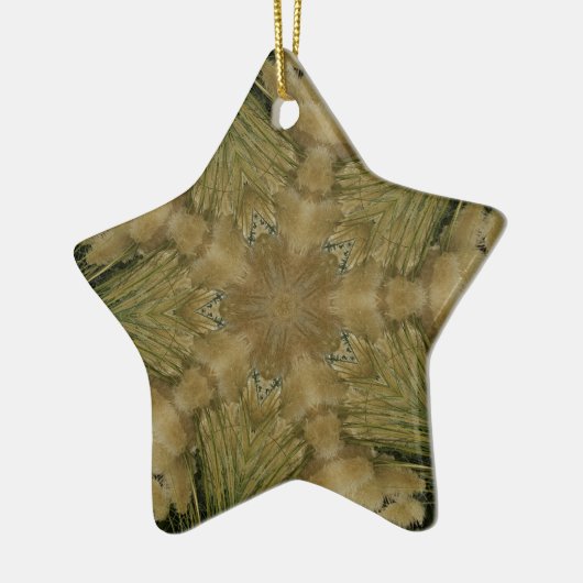 Kaleidoscope Design Star van Pampas Grass Green Keramisch Ornament (Links)