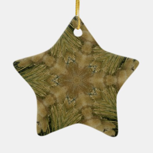 Kaleidoscope Design Star van Pampas Grass Green Keramisch Ornament (Achterkant)